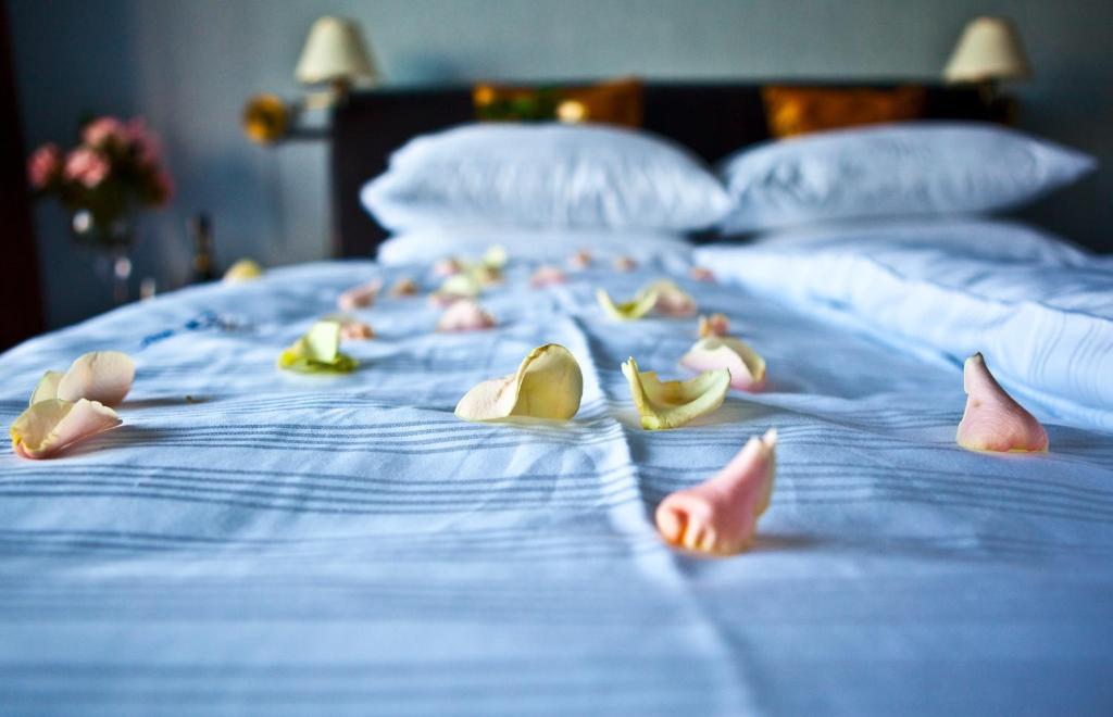 Shuma Otel Dąbrowa Górnicza Oda fotoğraf